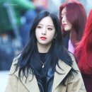 보나 이미지