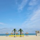 서피비치(surfyy beach) | 양양핫플, 이국적인 양양 선셋바 SURFYY BEACH 서피비치 선셋바