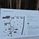 힐링다도 | 제주 서귀포 책방 데이트 힐링카페 에가톳 라이브러리 다도체험 후기, 우렁이랑 다녀온 찻자리~