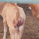 천평농장 이미지