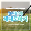 골프 인 이미지
