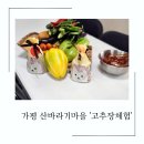 산바라기마을