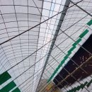 시동유정낚시터 이미지