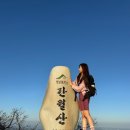 영신사슴농장 이미지