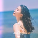 선미 이미지