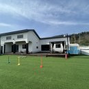 퍼피그램 이미지