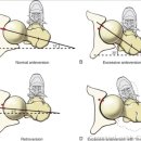 JL fitness 이미지