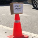 스틸튜스데이