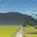 고향튀밥