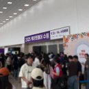 펫 친구 | 수원 케이펫페어 다녀온 후기는?