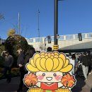 가고파 | 2025 마산 가고파 국화축제 후기 주차장 먹거리 일정