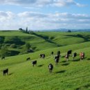 마블링 푸드 이미지