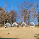 애견의숲 | 파주 애견동반 대형 카페 추천 후기 로빈의숲