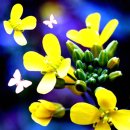 (주)예제나 이미지