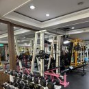 더라이프헬스PT 이미지