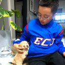 별사랑동물병원 이미지