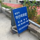 바닷가하얀목화밭
