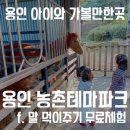 충식농장 | 용인 아이와 가볼만한곳 용인 농촌테마파크 무료 말 먹이주기체험