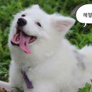 서초중앙로24길 27 (5) 이미지