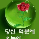 9월1일 금요일ㅡ안녕 하세요ㅡ무덥고 지루한ㅡ기나긴 8월이 지나갔읍니다ㅡ 이미지