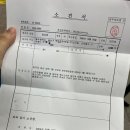 창해물회 식당 | 32주 만삭 임산부의 마지막 태교여행 in 제주✈️🍊(32주임산부비행기, 제주도태교여행)