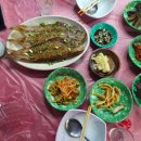 오동도 광장 | 여수 오동도(오동도 동백꽃, 입장료, 주차, 교동 야장 포장마차)