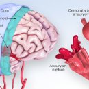 수원센트럴요양병원 이미지