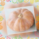 도우누리  동구노인복지센터 이미지