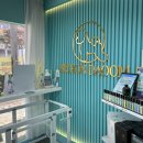 비숑다움 이미지