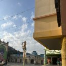 호랑이돈까스와 탕수육 | [대전 여행] 대전 오월드 대전동물원 사파리 명당 꿀팁