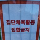 괴정오작교체육공원 네이버블로그