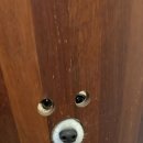 태위로679번길 이미지