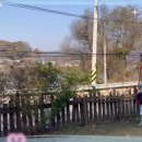 체험관 - 신나는 짚라인🎶 이미지