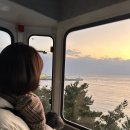 스카이애견 이미지