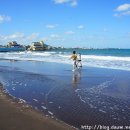 삼양해수욕장 이미지