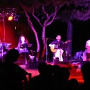 구미가 당기다 이미지