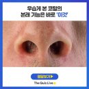 코털 '뽑아야한다 vs 잘라야한다' 두가지 방법 중 어떤게 맞나요? 이미지