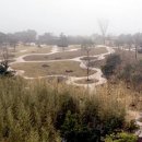 평화숲 연합뉴스