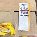 오빠네 과일 야채 이미지