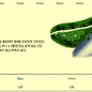 파인스톤컨트리클럽
