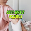 로하스속내과의원 네이버블로그