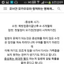 강아지암컷중성화수술안좋게보는사람들봐줘 이미지