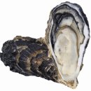 더휴한의원 이미지