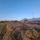 진흥2농장 이미지