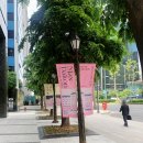 (주)인포다스 | 마이아트뮤지엄 &lt;맥스 달튼, 영화의 순간들&gt; 전시회