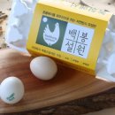 영월동물복지농장 이미지