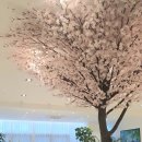 송도랜드마크정형외과의원 이미지