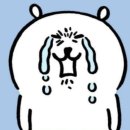 아르돌 노래연습장 | 13. 뉴앙콘 마지막 날 후기 (재재계약 그 감동의 현장 속에...)