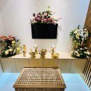 아이들랜드 이미지