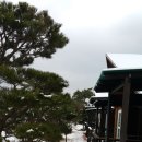 심스캐빈 이미지